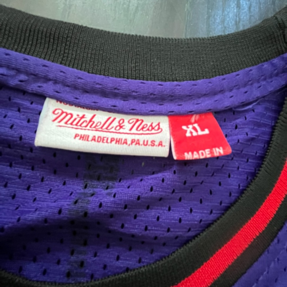 Raptors basketball jersey